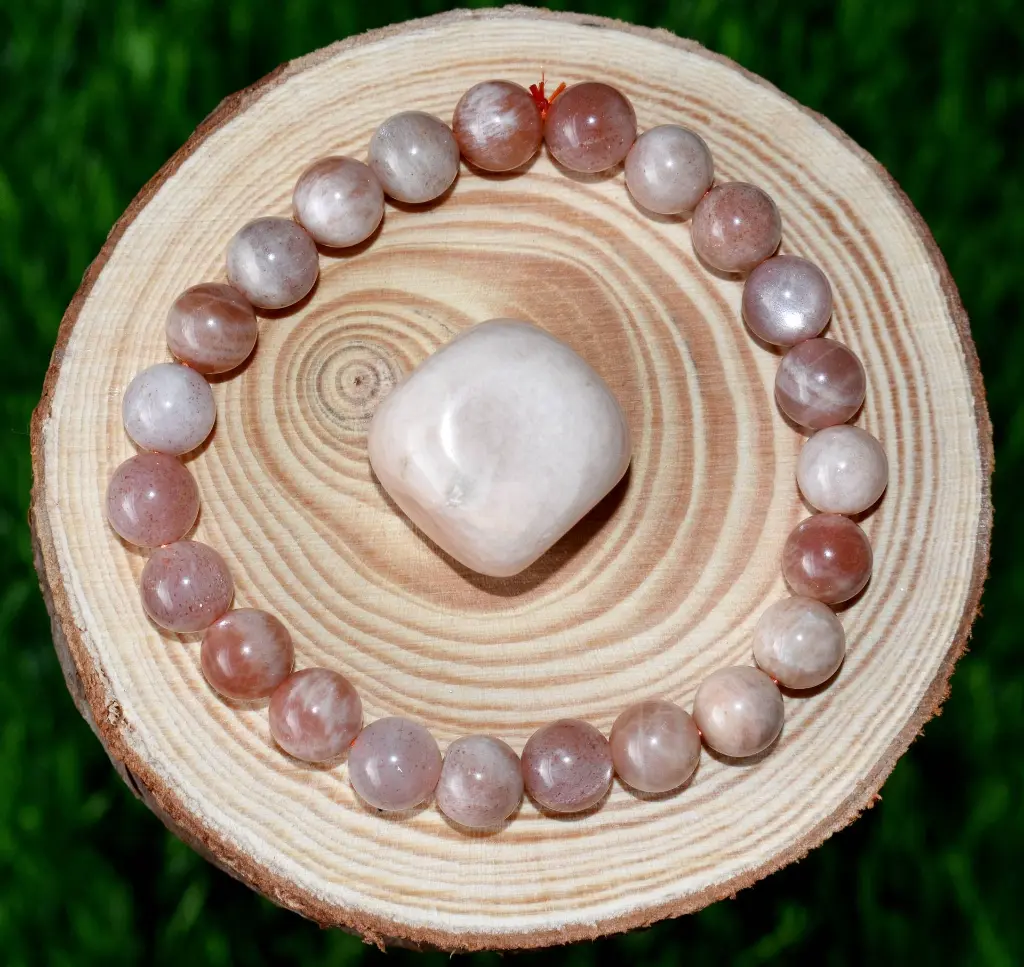 SFG-MOO-6P-KIT (4).webp