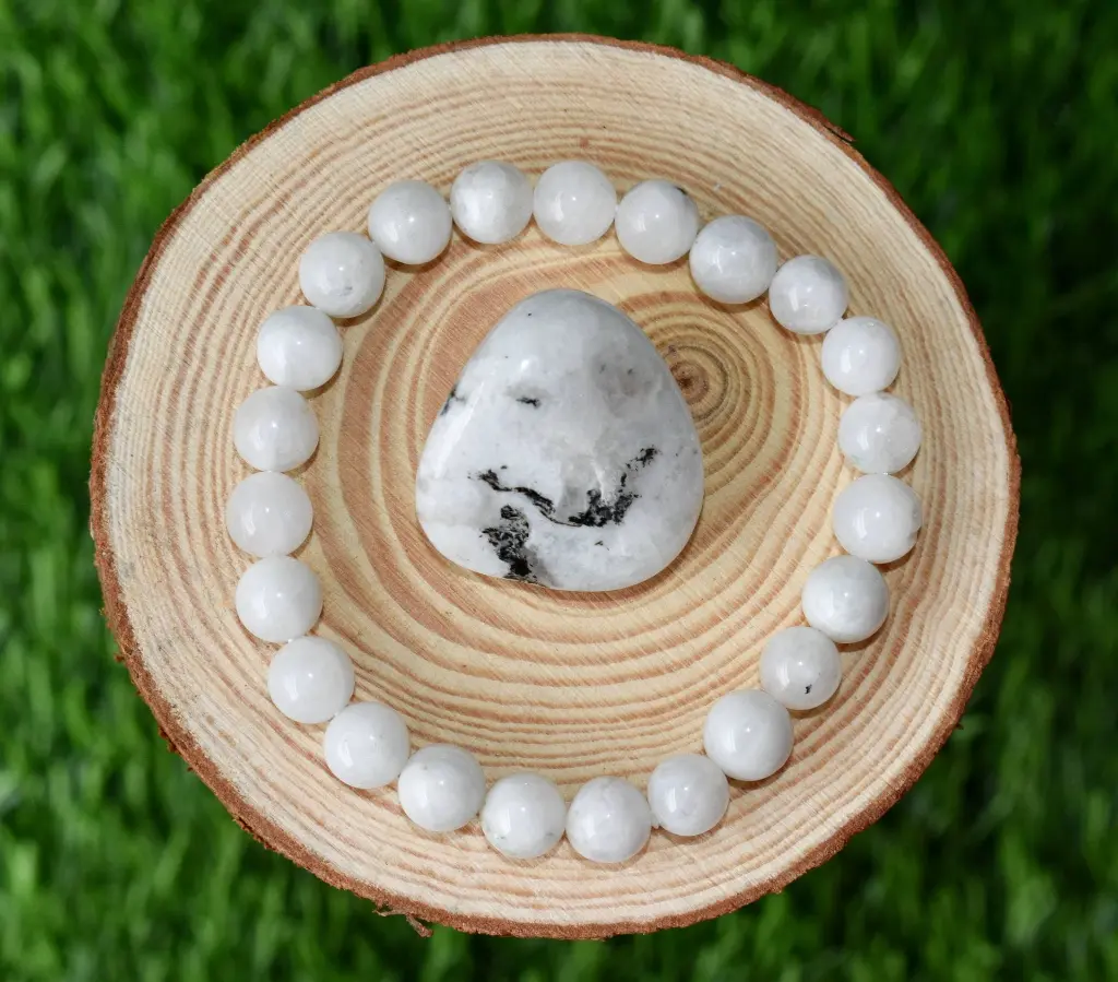 SFG-RAIN-7P-KIT (5).webp